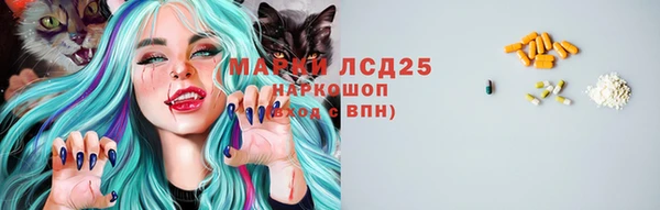 стафф Алексин