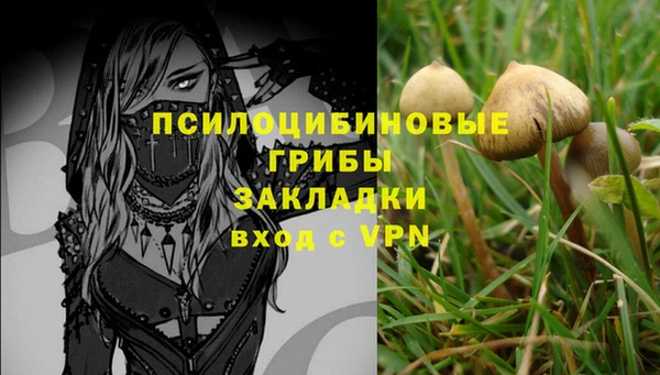 героин Алзамай