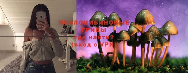 apvp Алексеевка